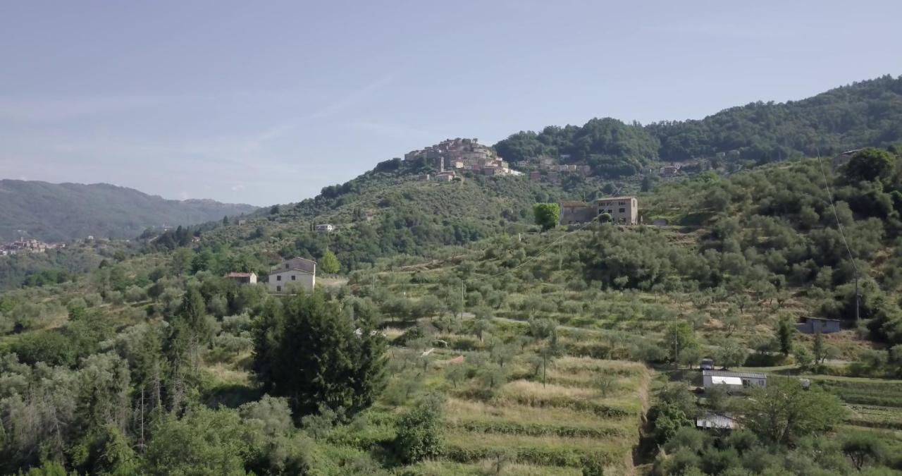 Luxury Villa In Tuscany - Casa Di Nonnas Πέσια Εξωτερικό φωτογραφία